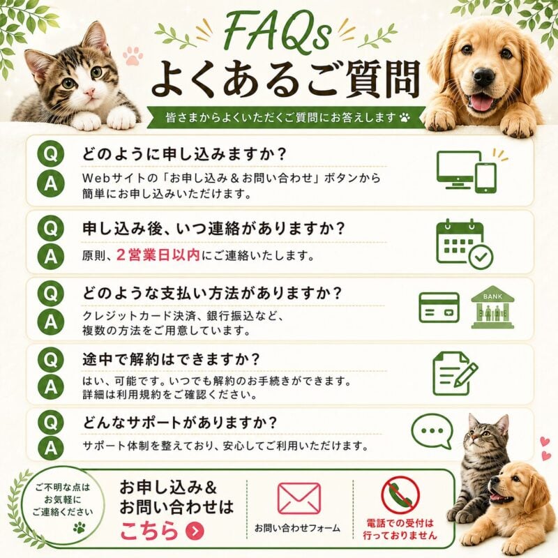 Q&A